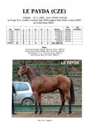 Le_payda-09w