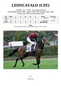 Leoncavalo-02w