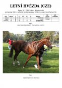 Letni_hvezda-07w