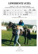 Lewerentz-91-dm