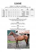 Liane-86w
