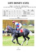 Life_honey-11w