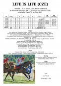 Life_is_life-04w