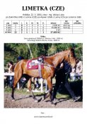 Limetka-04w