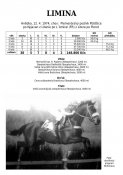 Limina-74w