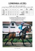 Limonka-97w