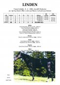 Linden-84w