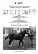Lineal-79w