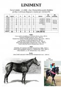 Liniment-89w