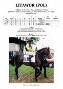 Litawor-pol-97w