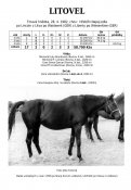 Litovel-82w