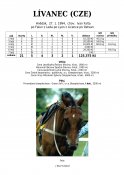Livanec-94w