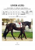 Liver-99w