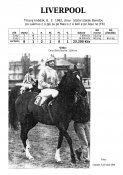 Liverpool-82w