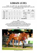 Lorain-07w