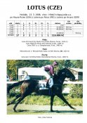 Lotus-98w