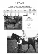 Lucan-77w