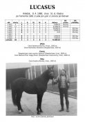 Lucasus-88w