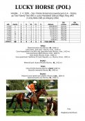 Luck_horse_pol_05w