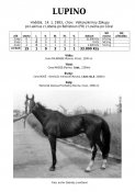 Lupino-83w