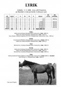 Lyrik-90w