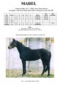 Mabel-85-agadir-w