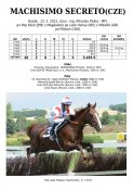 Machisimo_secreto-12w