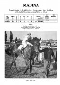 Madina-64w