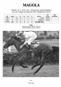 Magola-70w