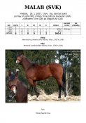 Malab-svk-07w