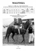 Malfinka-89w
