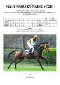 Maly_morsky_princ-11w