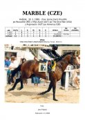 Marble-99w