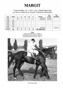 Margit-71w
