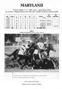 Maryland-87w