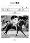 Matrice-87w