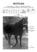 Matylda-82-tx-w