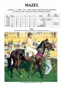 Mazel-91w