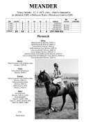 Meander-75-w