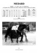 Medard-73-w