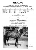 Merano-89_rh-w