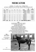 Mercator-78w