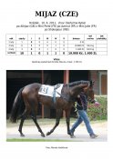 Mijaz-cze-11-alhijaz-w