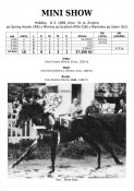Mini-show-89w