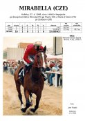 Mirabella-99w