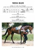 Miss-bam-91w