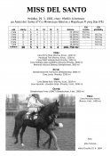 Miss-del-santo-91-ads-w