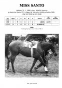 Miss-santo-90-ads-w