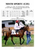Mistr-sportu-97w