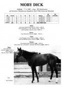 Mobydick-87w